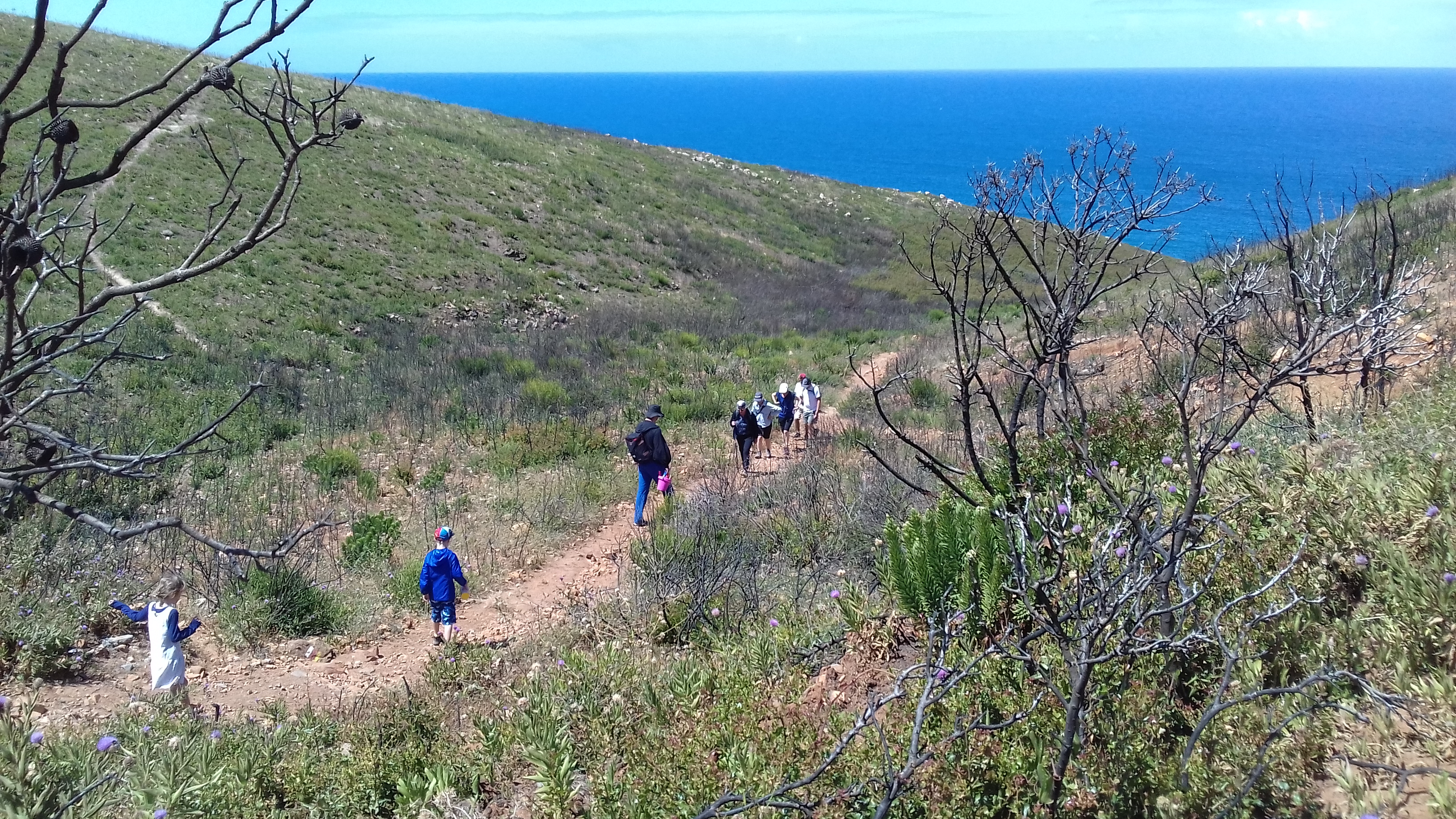 Small group hiking a coastal trail with the Atlantic behind
